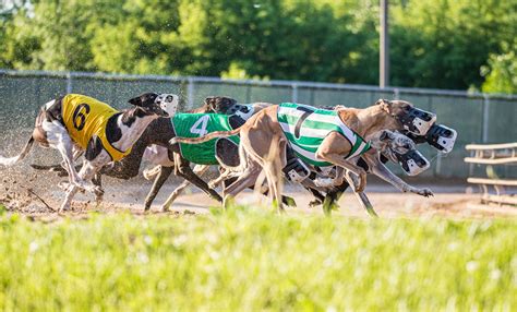 mardi gra casino racing in charlestown wv.